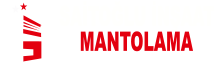 Saitoğlu İnşaat ve Otomotiv